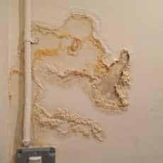 Emergency Plumbing - Water Damage