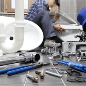 toilet fix
